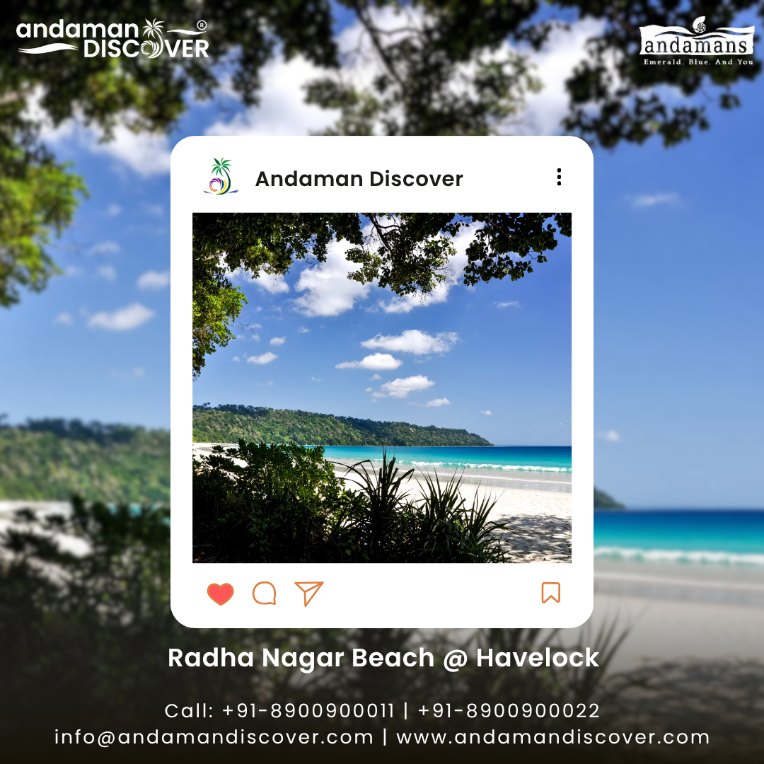 Beauty of Radhanagar Beach
