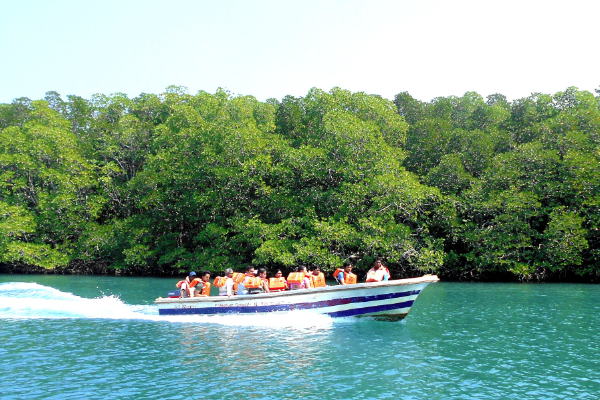 Andaman Tour Packages from Malaysia
